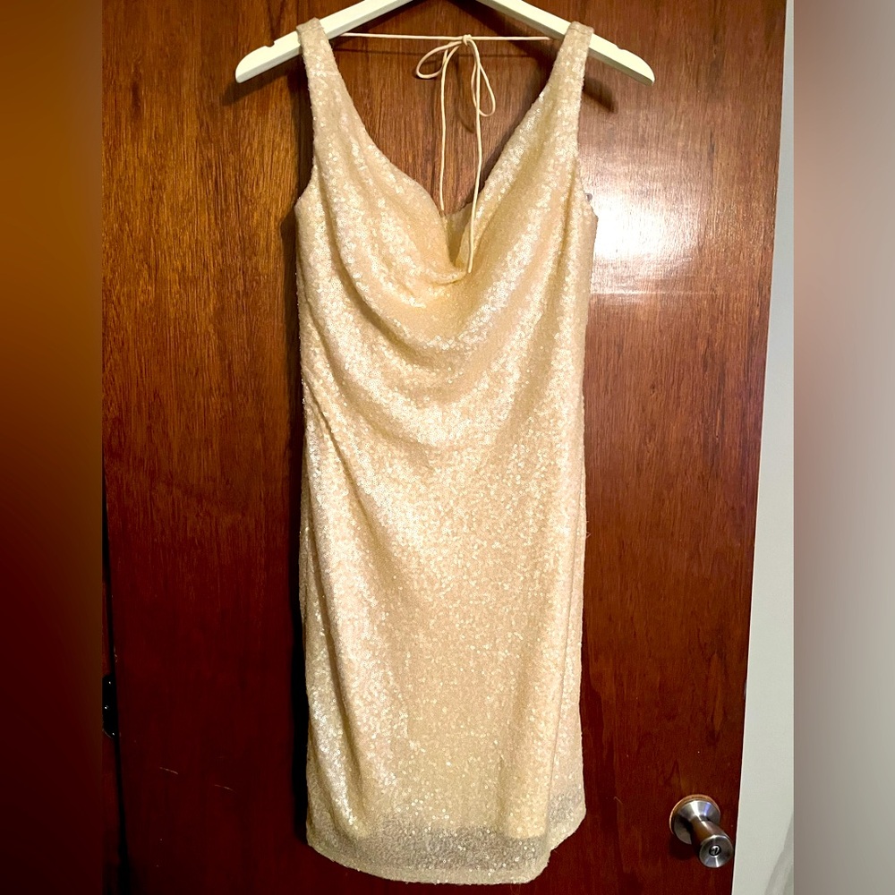 Size 8 champagne matte sequined Christina Wu mini dress.